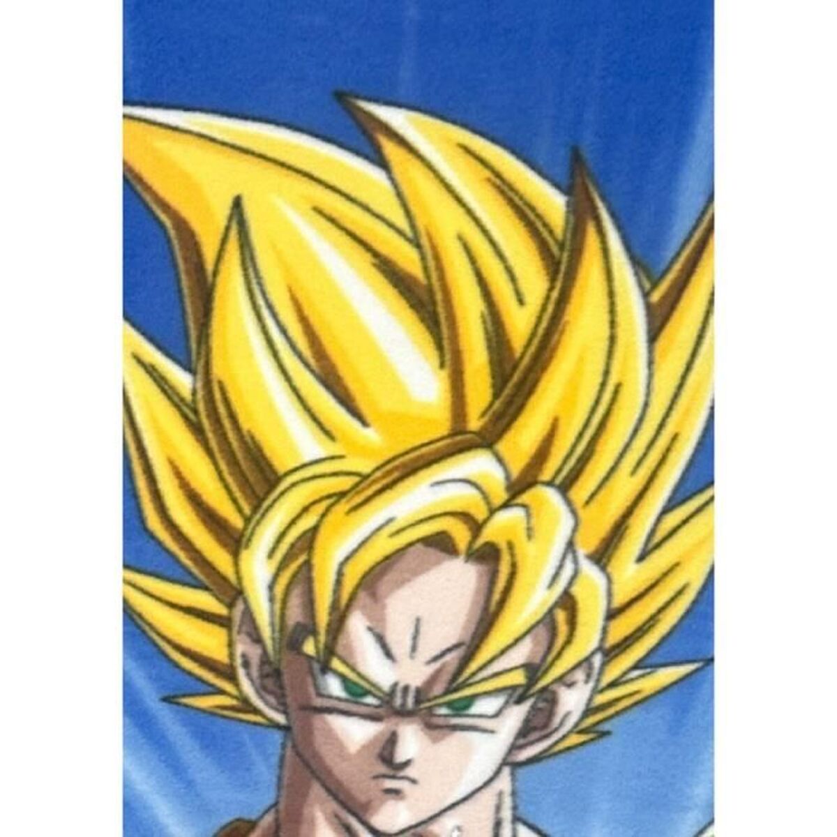 Dragon Ball Blanket Dragon Ball Multicolour Animals